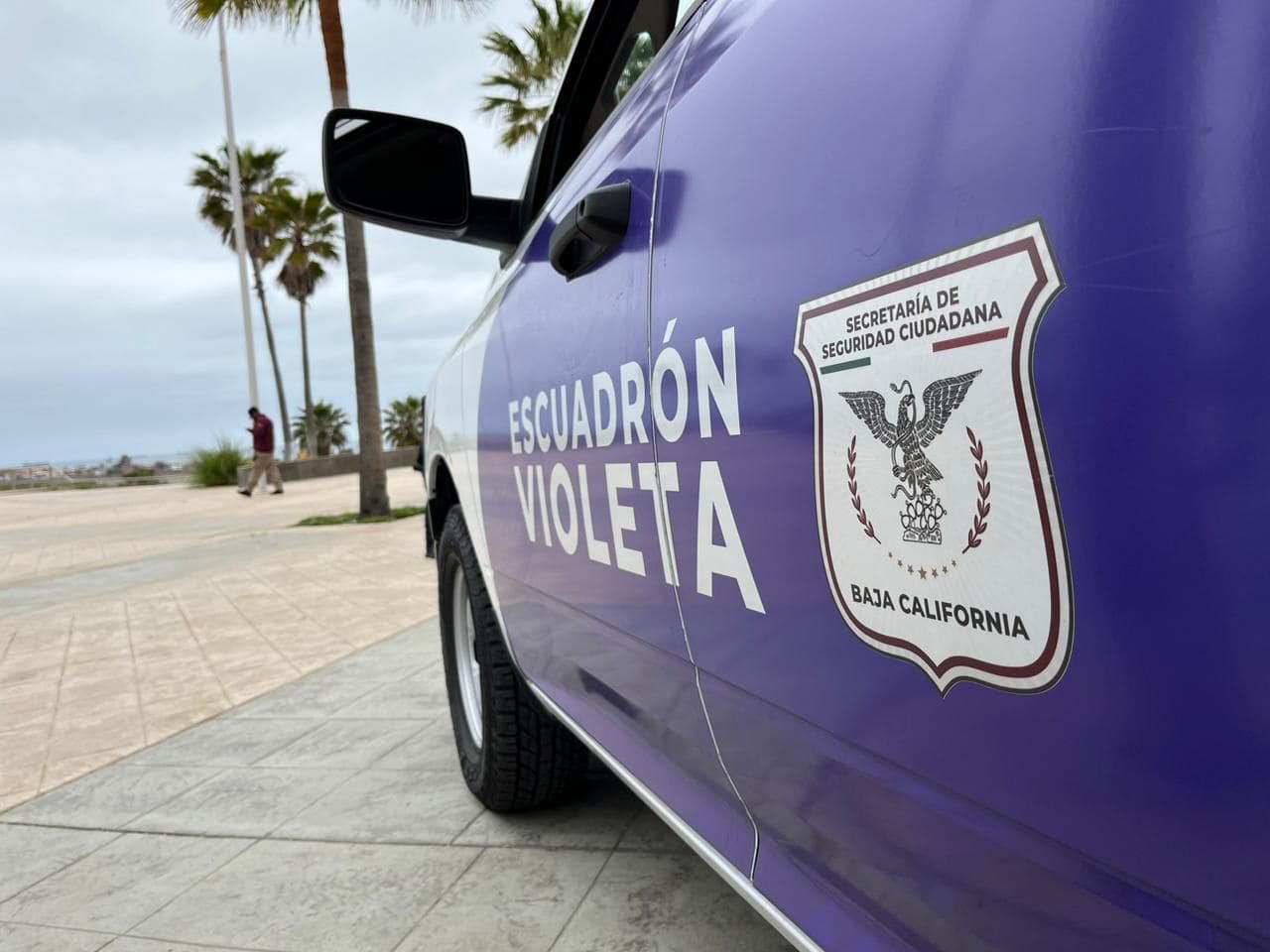 ARRANCA ESCUADRÓN VIOLETA EN PLAYAS DE ROSARITO