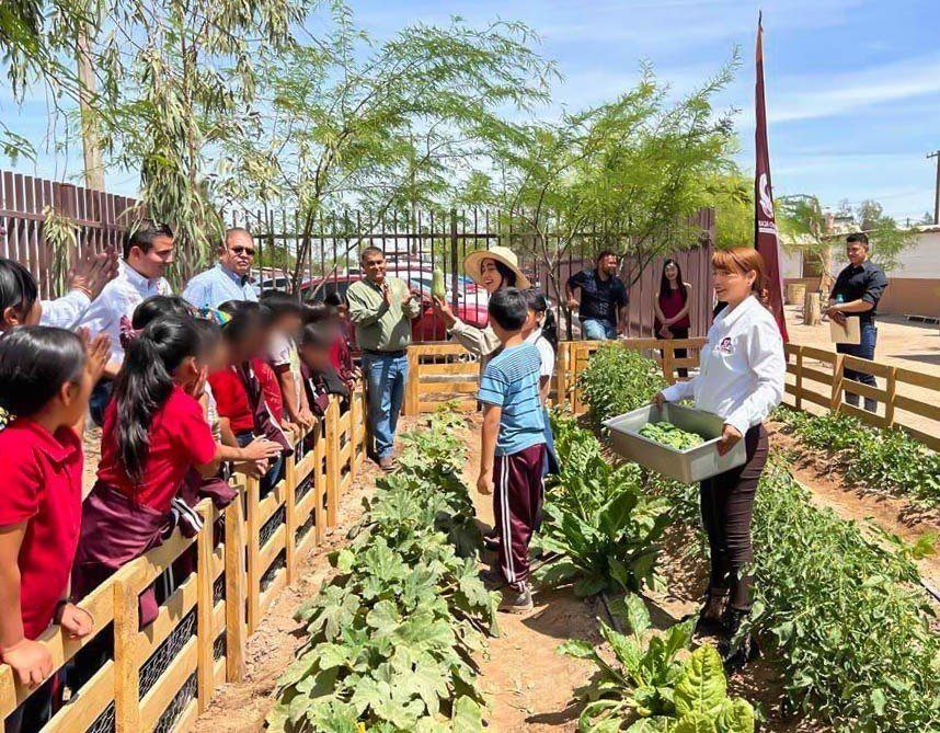 FOMENTA DIF BAJA CALIFORNIA LA EDUCACIÓN ALIMENTARIA EN FESTIVAL DE LA COSECHA