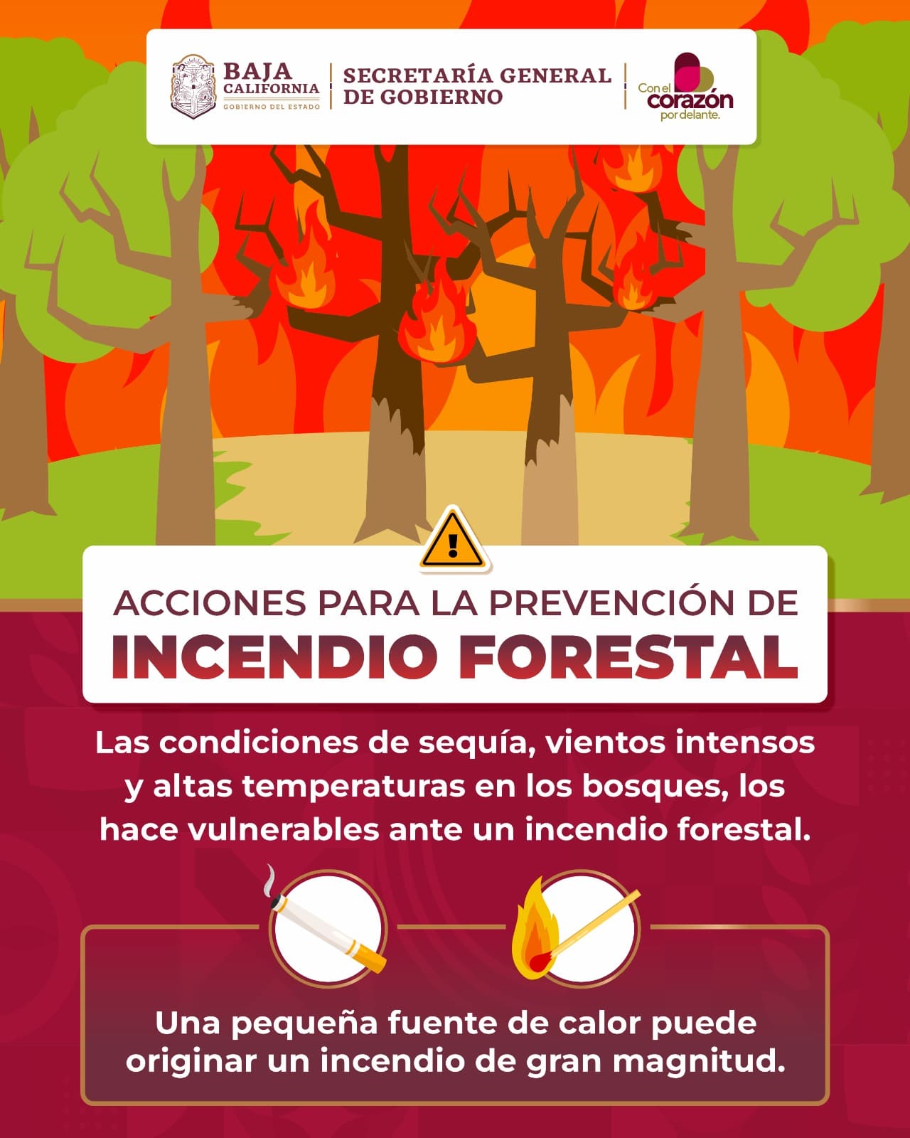 EMITE PROTECCIÓN CIVIL BC RECOMENDACIONES ANTE TEMPORADA DE INCENDIOS FORESTALES