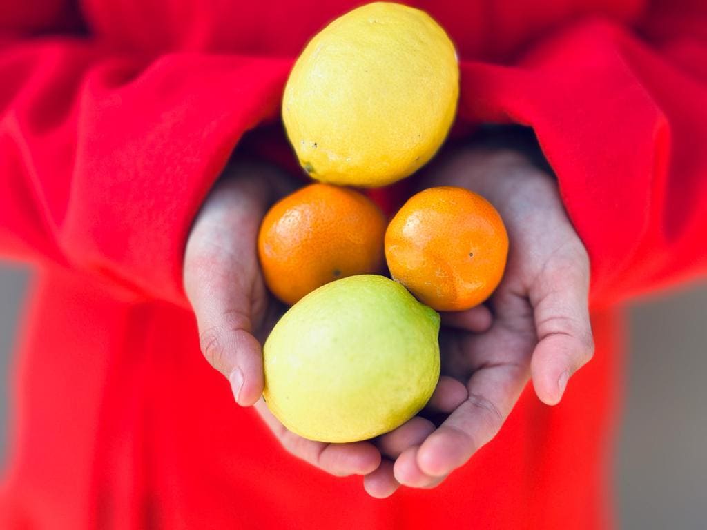 ES LA HIGIENE DE LOS ALIMENTOS CLAVE PARA LA PREVENCIÓN DE ENFERMEDADES: MEDINA AMARILLAS