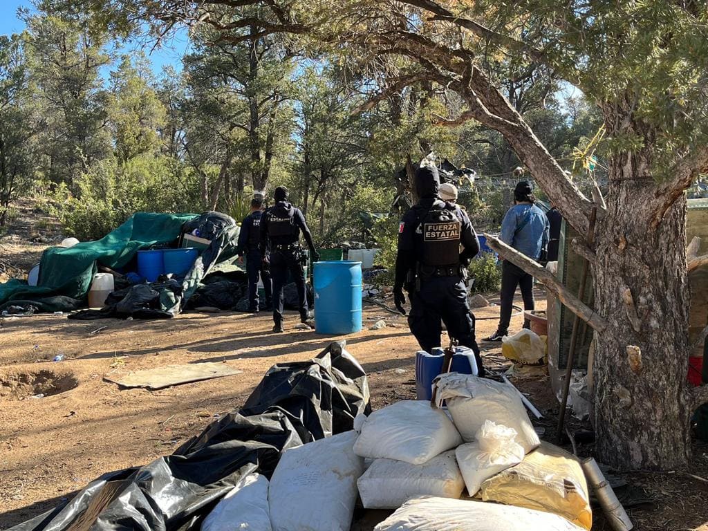 LOCALIZAN FUERZA ESTATAL Y SEDENA LABORATORIO DE DROGA Y PLANTÍOS DE MARIHUANA EN LA RUMOROSA