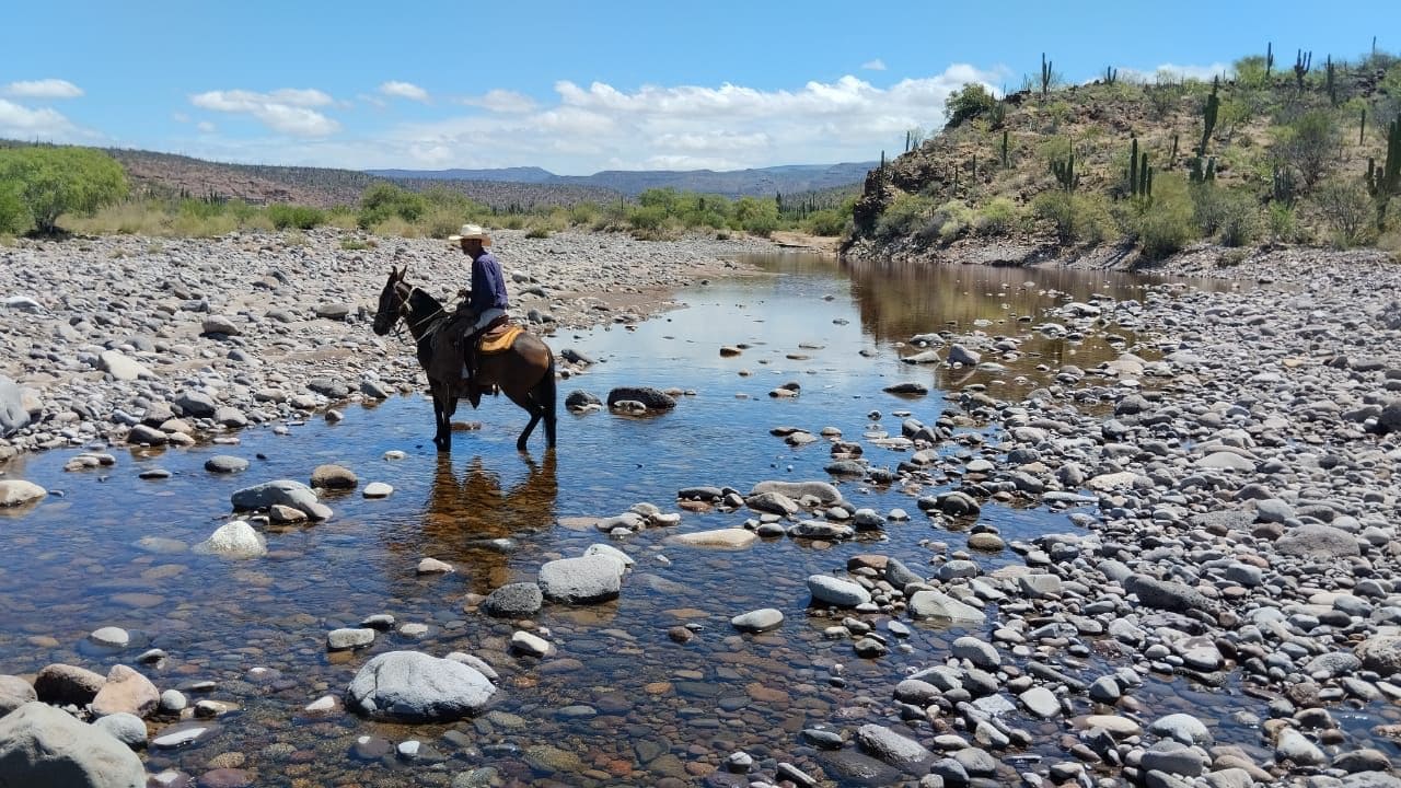 ATIENDE SADERBC NECESIDADES DE PRODUCTORES DE LA ZONA SUR ANTE EL PASO DE LA TORMENTA TROPICAL HILARY