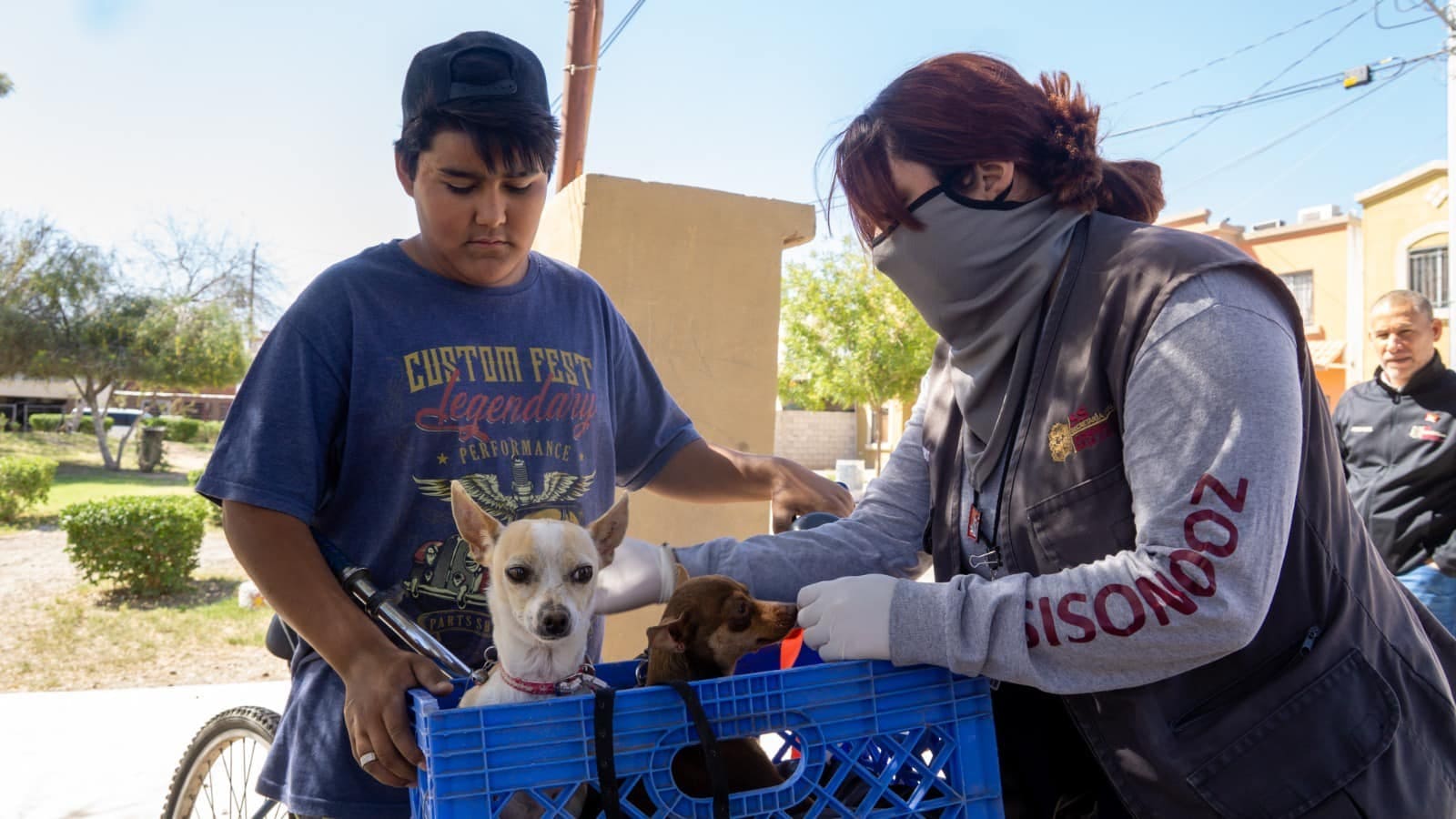 EXHORTA SECRETARÍA DE SALUD A CUIDAR DE LAS MASCOTAS DEL HOGAR