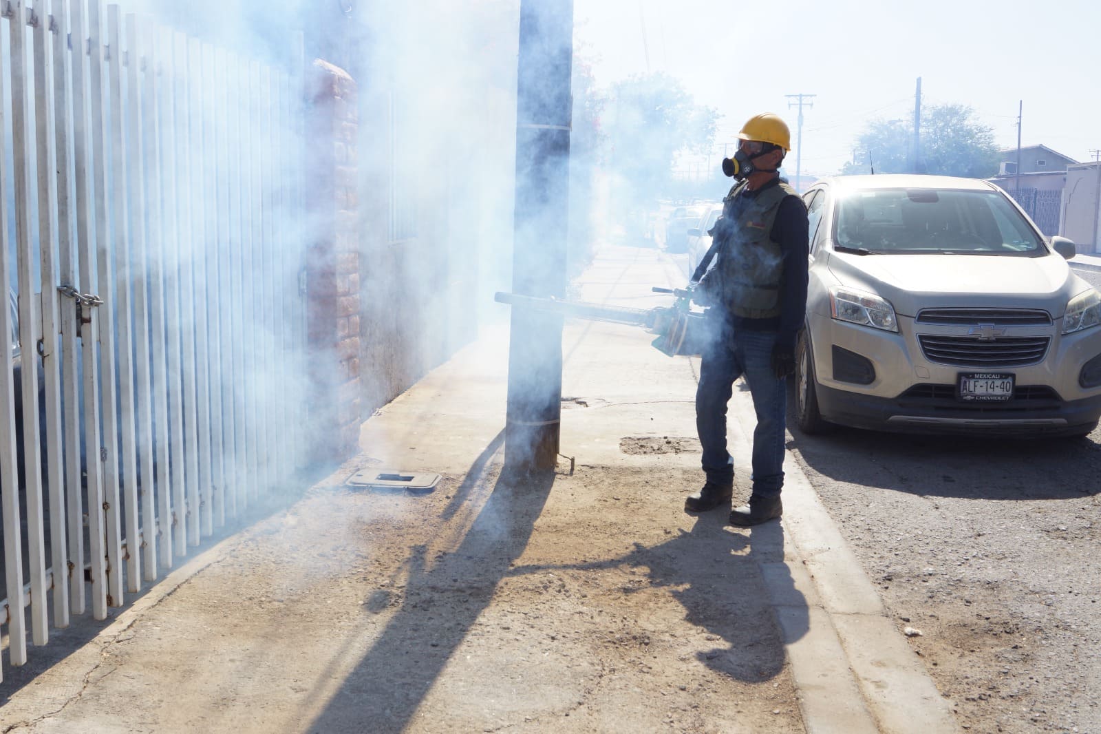 LLAMA SECRETARÍA DE SALUD DE BC A CIUDADANÍA A ELIMINAR CRIADEROS DEL MOSQUITO TRASMISOR DE DENGUE, ZIKA Y CHIKUNGUNYA