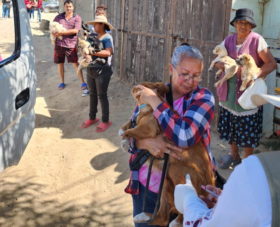 REALIZA JSST LABORES PREVENTIVAS CONTRA LA RICKETTSIA EN LA COLONIA EL DESCANSO EN TECATE