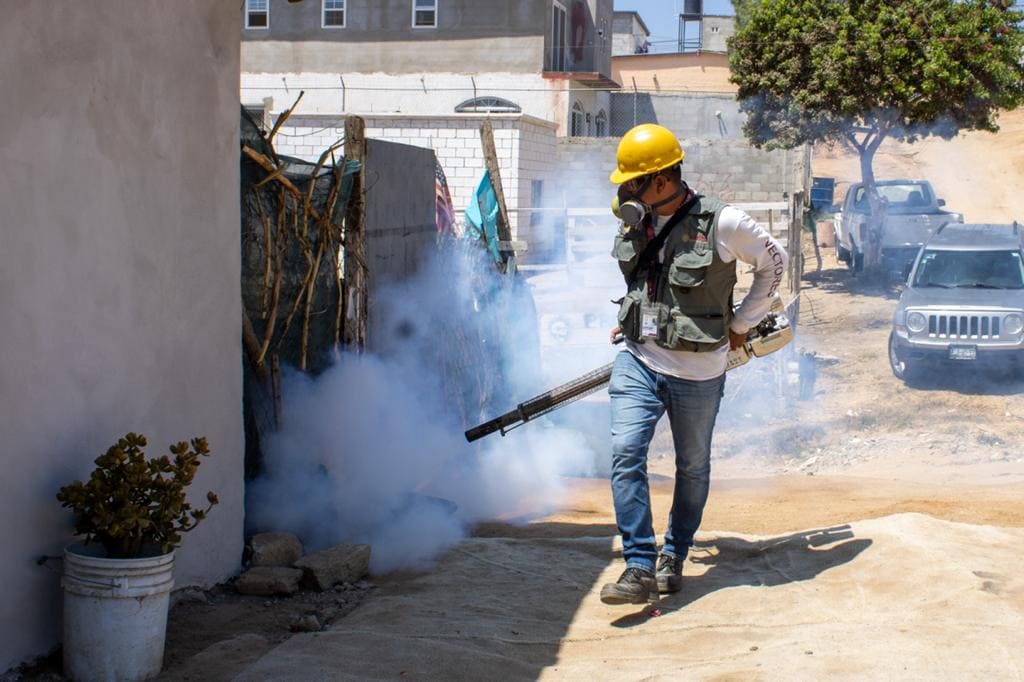 ATIENDE SECRETARÍA DE SALUD CASOS DE DENGUE AUTÓCTONO EN SAN FELIPE