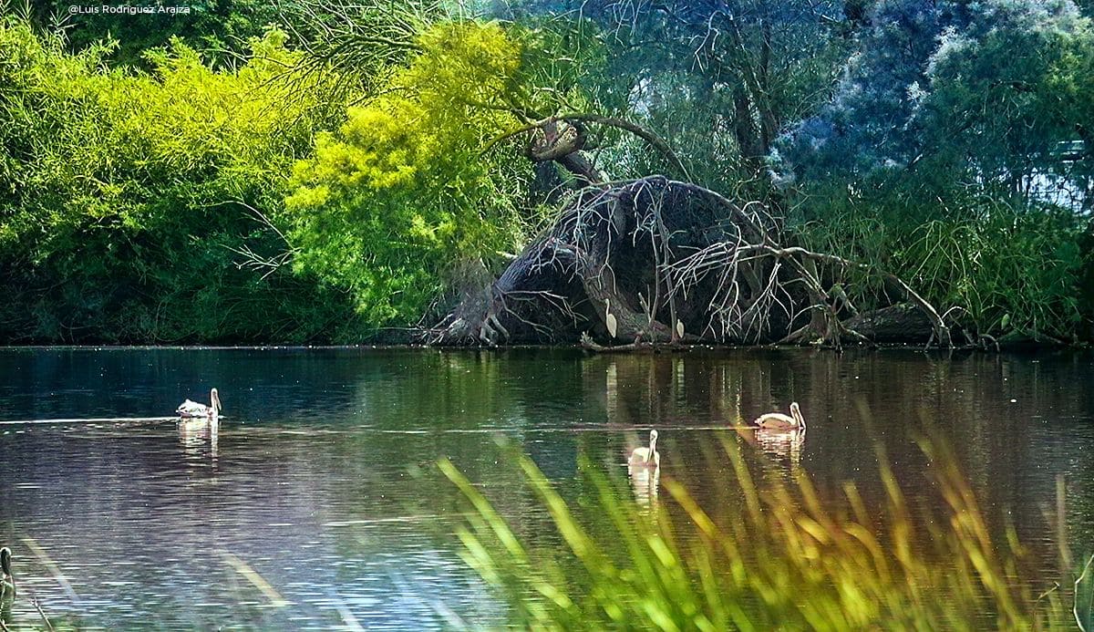 ”LAS ARENITAS”, UN REFUGIO DE BIODIVERSIDAD Y SOSTENIBILIDAD: CESPM